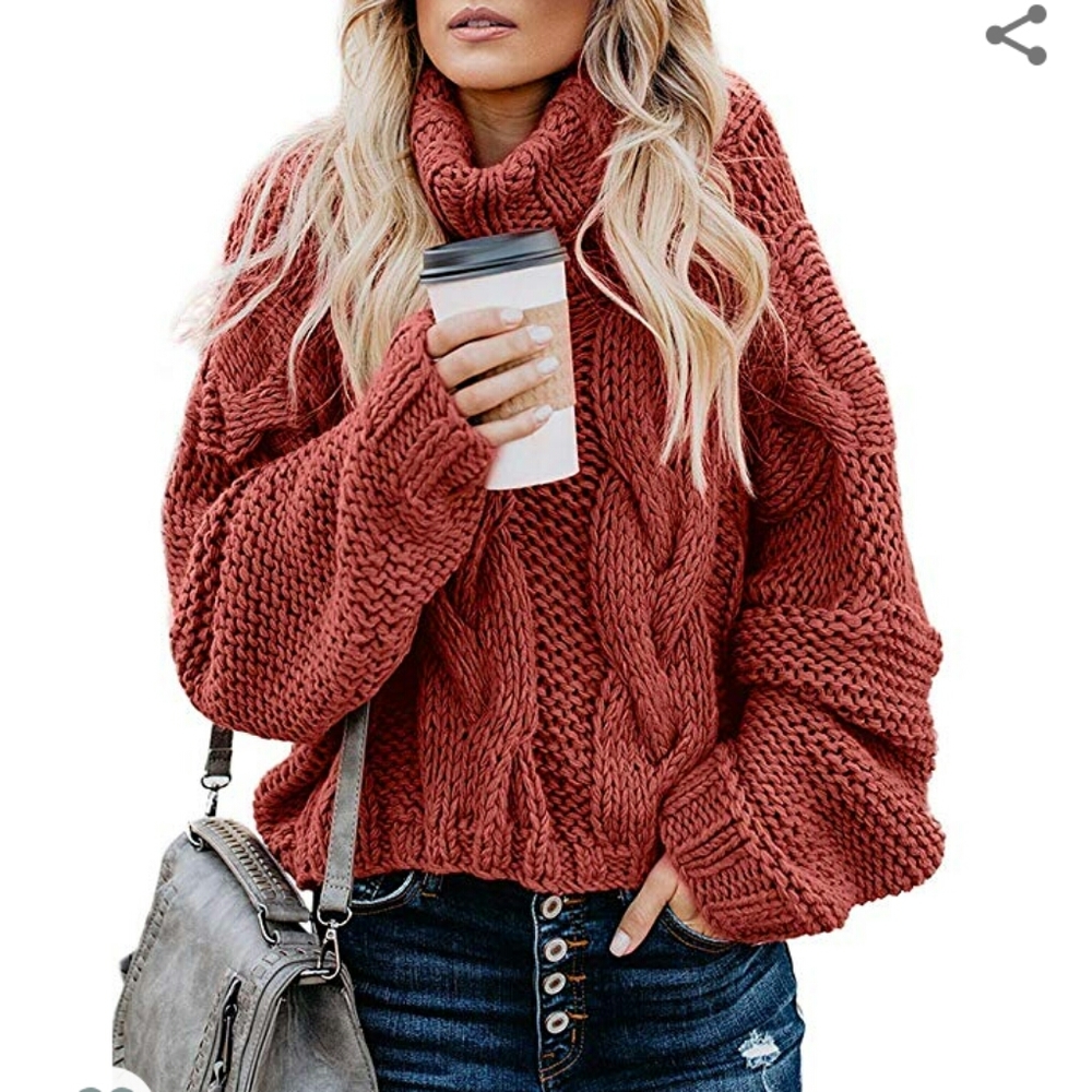 Cable Knit Turtleneck Chunky Pullover Sweater - Picture 1 of 3
